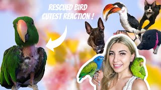 Our Pets React To Seeing Us After A Week! (Rescued Parrot Has Cutest Reaction!)