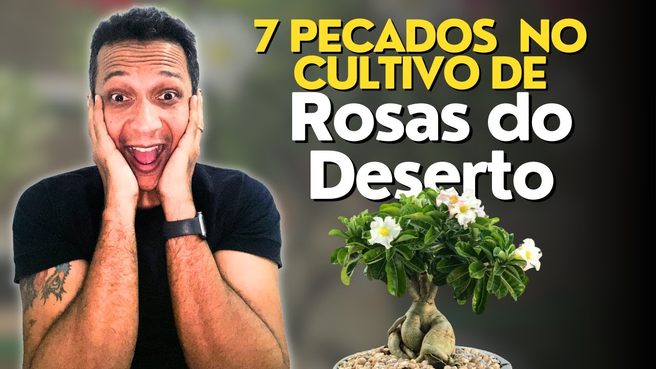 7-pecados-no-cultivo-de-rosas-do-deserto-youtube