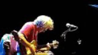 Marc Ribots Ceramic Dog 24072008 - I