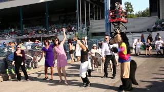 Fifth Race Flash Mob - Prince of Wales Edition