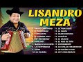 LISANDRO MEZA - 30 Grandes Éxitos de Fiesta: Sus Mejores Canciones