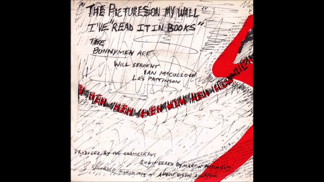 エコー&amp;ザ・バニーメン ピクチャーズ・オン・マイ・ウォール Echo And The Bunnymen – The Pictures On My Wall – CD (Single