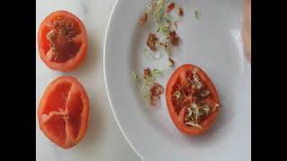 une méthode incroyable pour faire germer des tomates