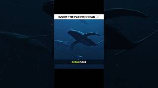 Inside The Pacific Ocean ☠️ #space #geography #shorts #pacificocean #science