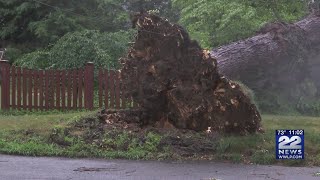 Trees down, flooded roads in Hamdpen County after Saturday's storm