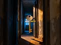 Lettuce, Tape, and a Heist: The Vault That Blew Open with a Salad Leaf