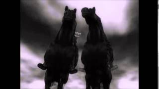 Skyfall ~Star Stable Music Video