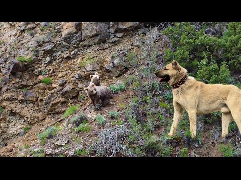 Zuhal Topal'dan Yarışmacılara \