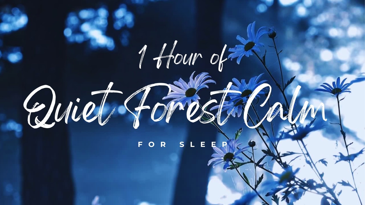 Quiet Forest Flowers 🌼 1 Hour of Peaceful Nature Sounds for Sleep ...