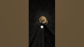سورة الفرقان _ " الآية 30 - 31 "  🕋