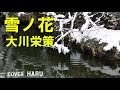 「雪ノ花」大川栄策 cover HARU