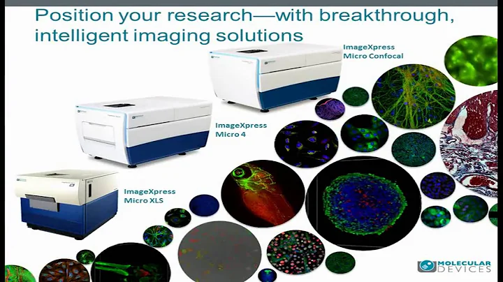 Oksana Sirenko, Steven Luke-Implement high throughput 3D image analysis for samples from subcellular