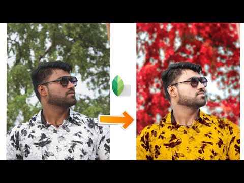 Snapseed Background Color Change Photo Editing || Best Color Effect Photo  Editing In Android App - YouTube