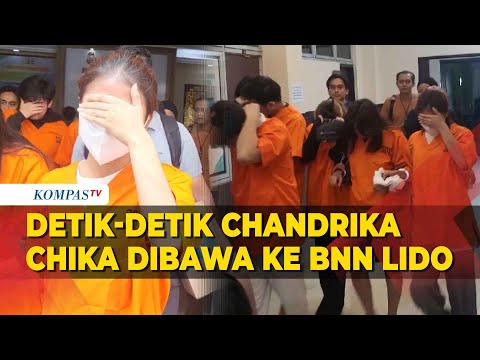 Detik-detik Chandrika Chika Dibawa ke Pusat Rehabilitasi BNN Lido