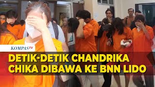 Detik-detik Chandrika Chika Dibawa ke Pusat Rehabilitasi BNN Lido