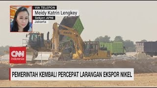 Pemerintah Kembali Percepat Larangan Ekspor Nikel