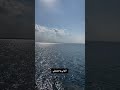 كدابين يا  بحر
