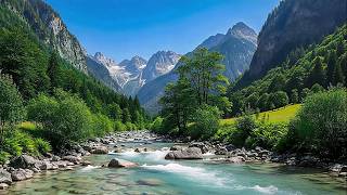 Hidden Mountain Paradise 🌿 Enchanting Birdsong & Flowing Stream, ASMR
