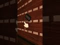 Скример #мем #roblox #2023 #роблокс #мемы #квин #doors #door #реки