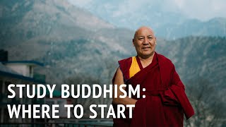 Studying Buddhism: Where to Start | Geshe Lhakdor Resimi