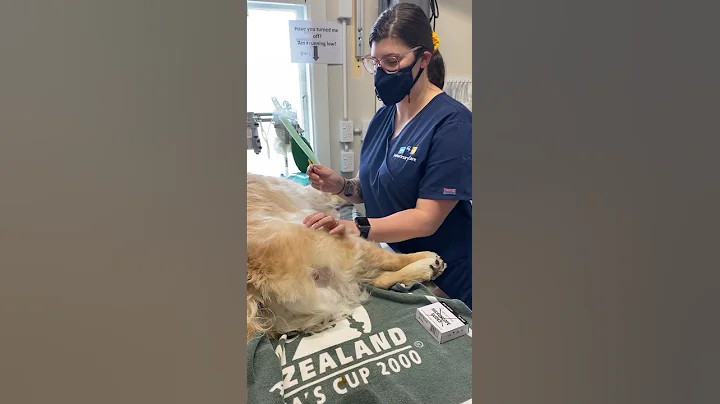 Administering an IM injection