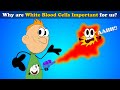 Why are White Blood Cells Important for us? + more videos | #aumsum #kids #education #children