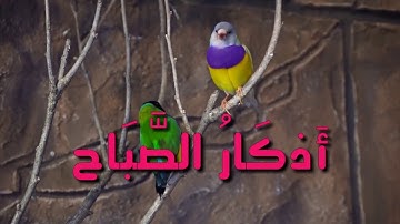 #أذكار_الصباح بصوت القارئ محمد فيصل الجنابي HD