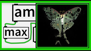How to transform an Image to Particles in Max/MSP with Transform Feedback - Part 02