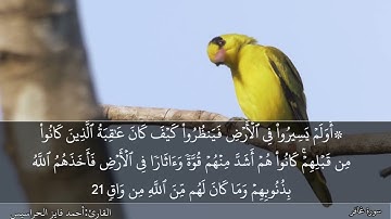 سورة غافر كاملة مكتوبة ومسموعة بصوت القارئ احمد الحراسيس