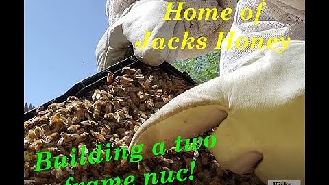 Building 2 frame Nuc Hive 5 Hive Split