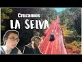 🌴 Cruzamos la SELVA MISIONERA de Moconá a Cruce Caballero 🍃🌎 – Recorriendo Argentina