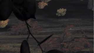 Arma 2 - IED