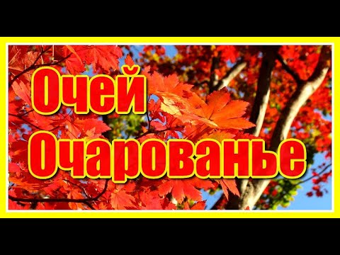 Ужегов Генрих Николаевич. Практические уроки поэзии