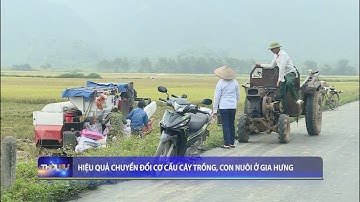 Hiệu quả chuyển đổi cơ cấu cây trồng, con nuôi ở Gia Hưng