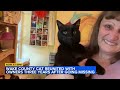 Wake County cat reunited with owners three years after disappearing