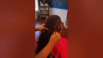 LOC FISHTAIL BRAID DONE BY THE LOC-KING AKA SHAWN DAVIS