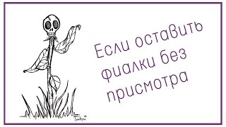 Если оставить фиалки без присмотра(Спасибо за like и подписку на мой канал! ❤ Как себя вели фиалки за время моего отсутствия, небольшой видеоо..., 2015-08-07T18:25:49.000Z)