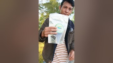 Ăn nho khô nguyên cành của Úc | Chú Huy Review