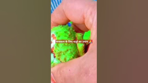 महाशिवरात्रि के दिन रात को 12:00 धतूरे का उपाय पंडित प्रदीप मिश्रा जी 🙏🌺