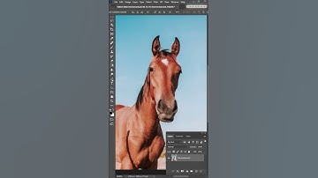 The NEW "Select Subject"  Pen Tool photoshop 2021