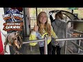 GATLINBURG TRAVEL VLOG *TOP ATTRACTIONS IN PIGEON FORGE AND GATLINBURG*