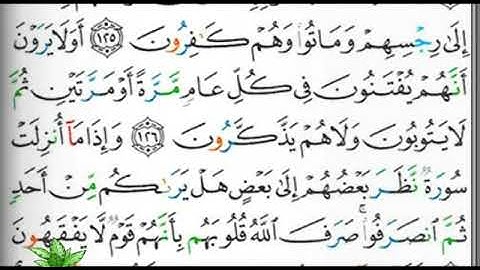 مصحف التجويد صفحة 207 إبراهيم الأخضر 🕋🕋