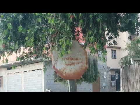 عين عودة جولة بالأحياء الشعبية أجي تشوف أبرز النقط 