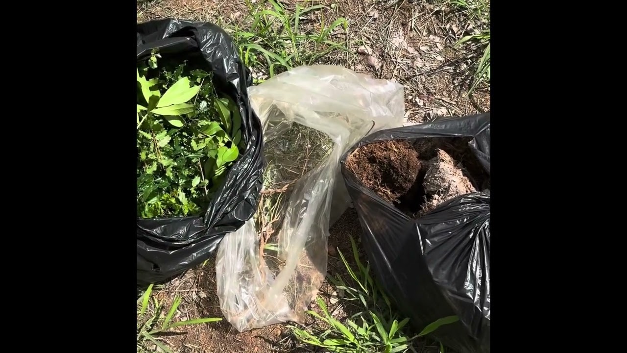 Gogo Manzini | Starter pack | Elephant Dung | Luck | Ziyakhala | 0724481474