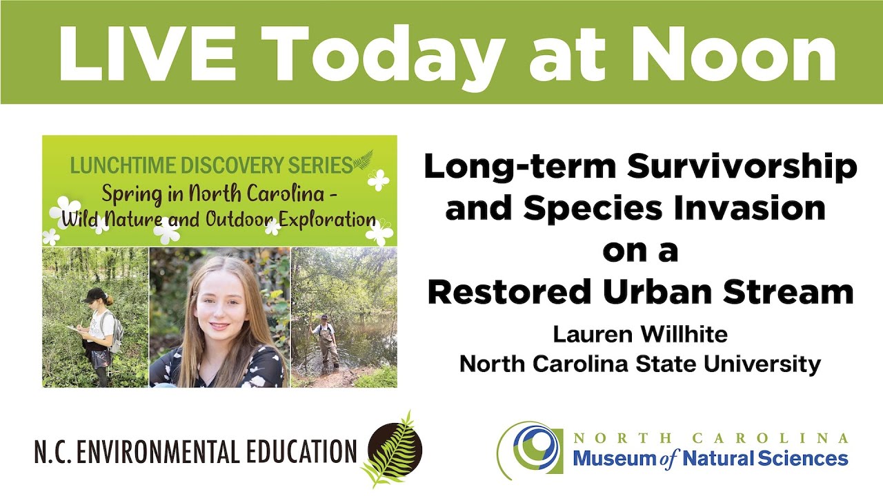 Long-term Survivorship and Species Invasion on a Restored Urban Stream