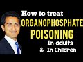 Organophosphate Poisoning Pesticides Treatment Management Pathophysiology Toxicology Medicine USMLE Organophosphate Poisoning Pesticides Treatment Management Pathophysiology Toxicology Medicine USMLE