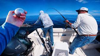 We Tried 4-Lb Weights for California Halibut… It Worked!