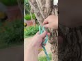 Techniques for Making Strong and Safe Rope Knots #shorts