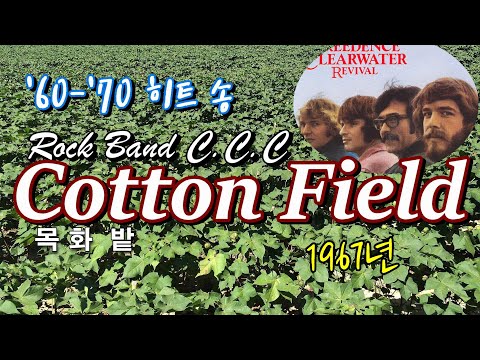 Creedence Clearwater Revival (CCR) - Cotton Fields (Studio Version)