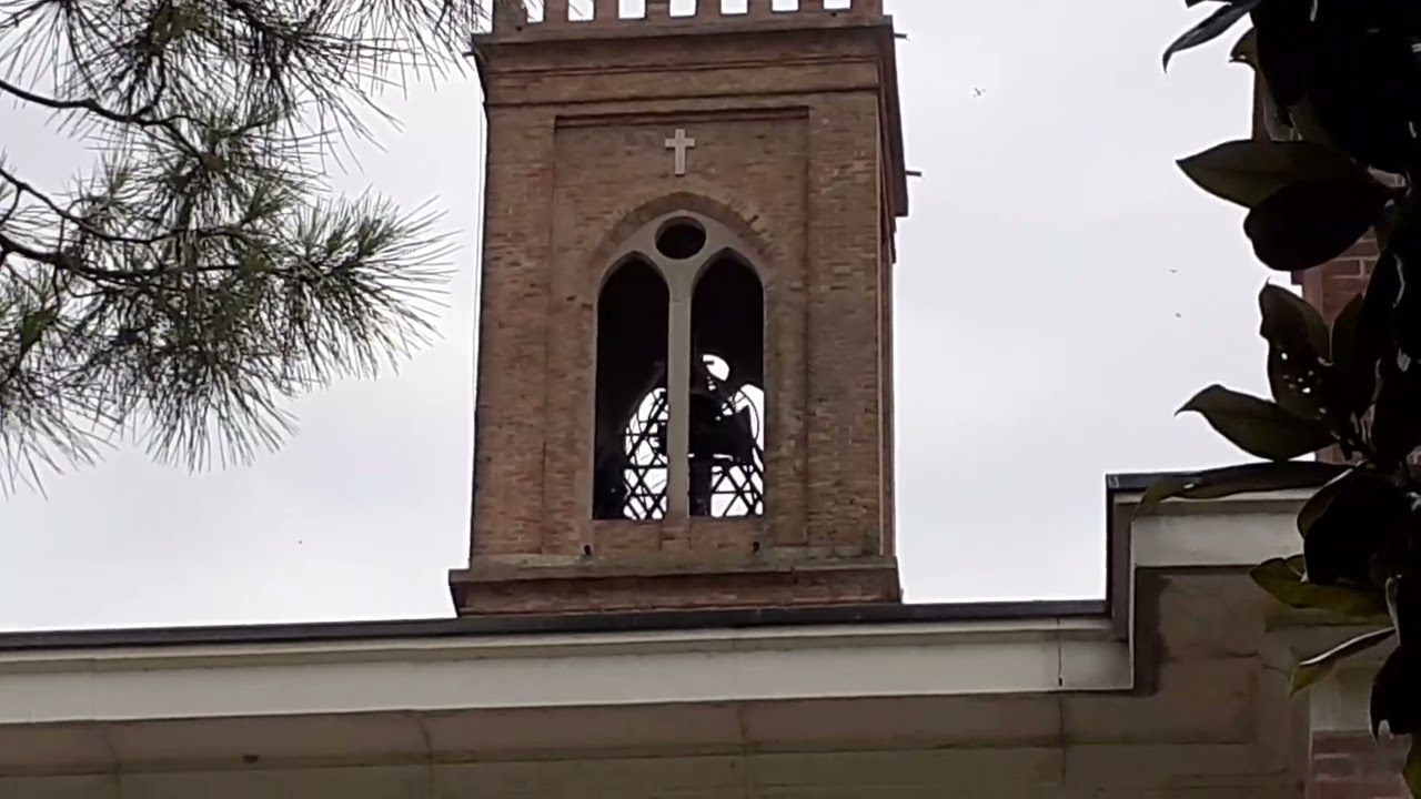 Campane di Valbona(PD)